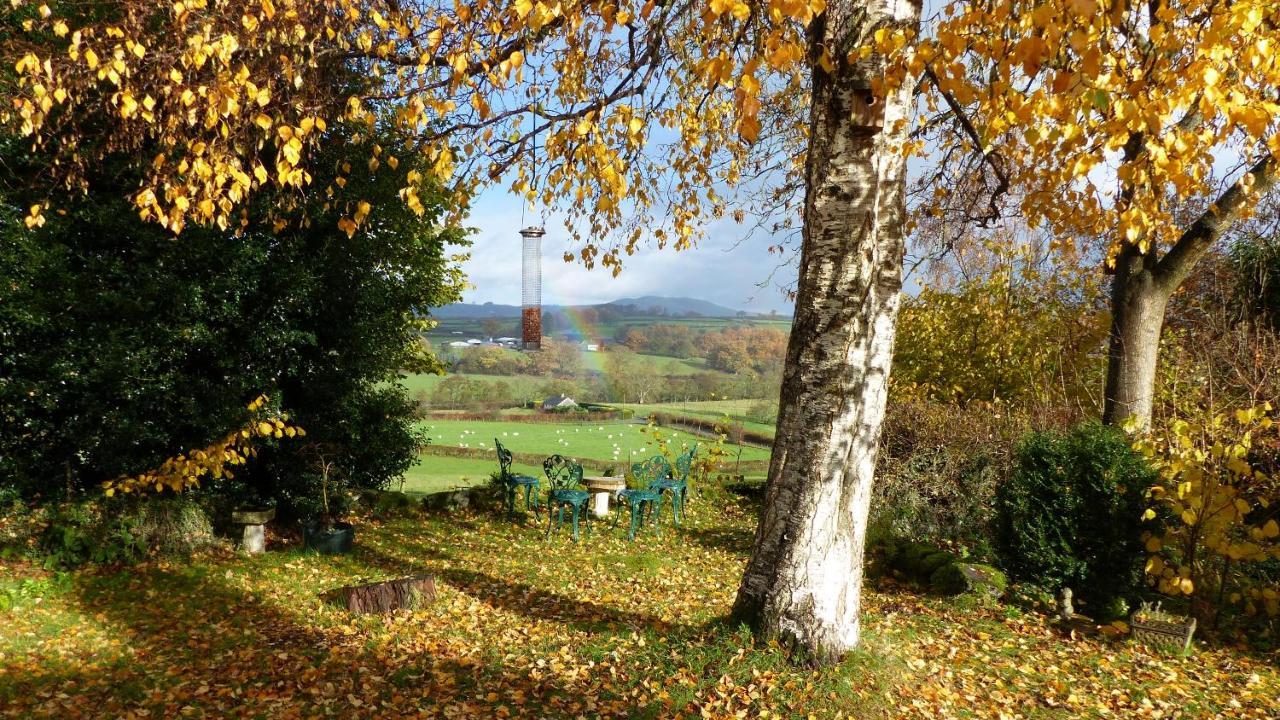Апартаменты Dolifor Llanwrthwl Экстерьер фото