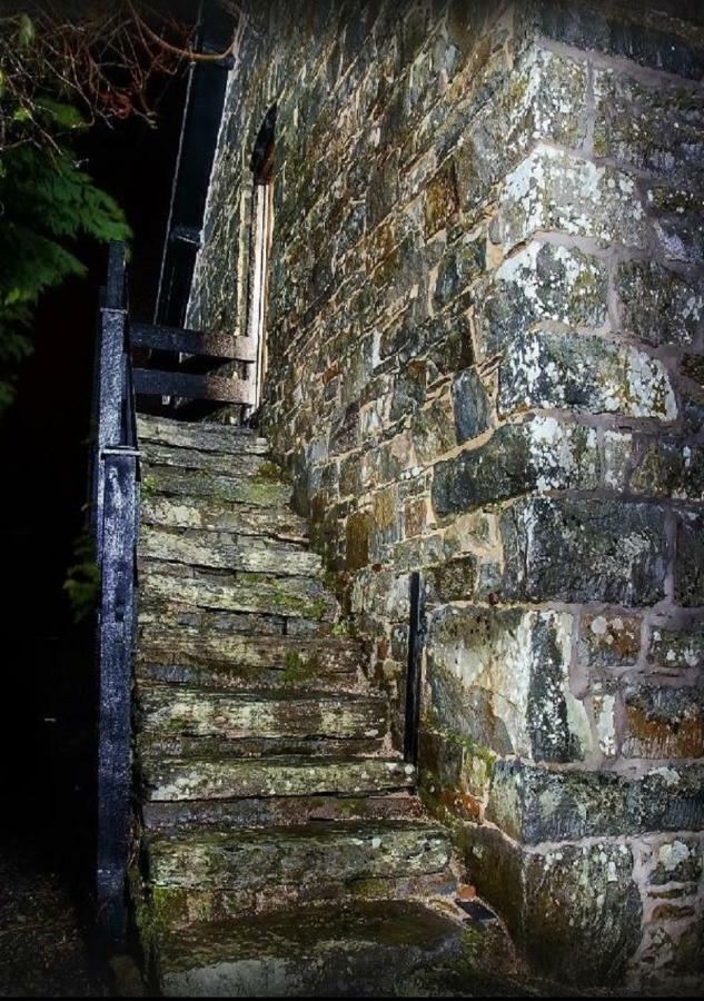 Апартаменты Dolifor Llanwrthwl Экстерьер фото